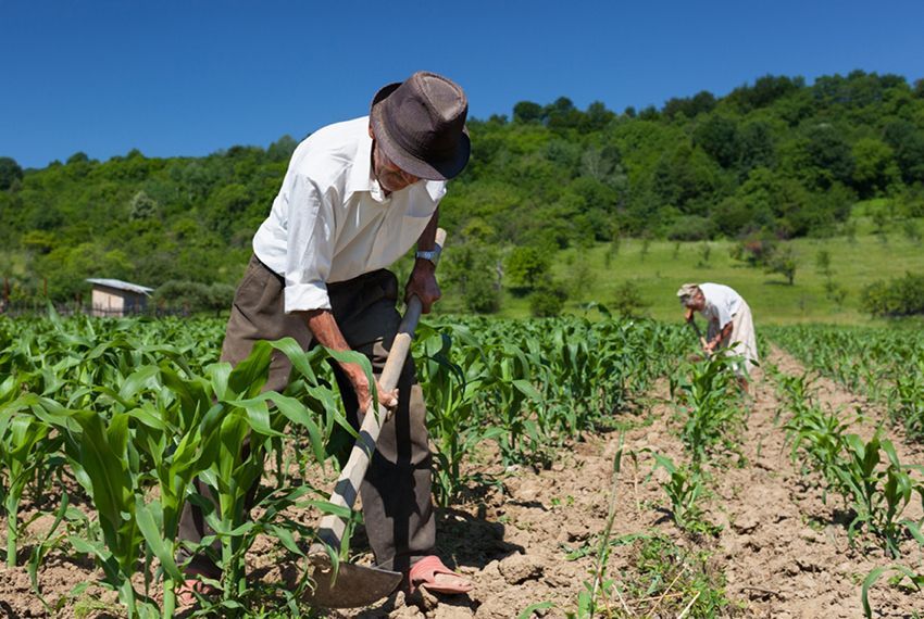 Insegurança no campo preocupa Associação de Produtores Rurais