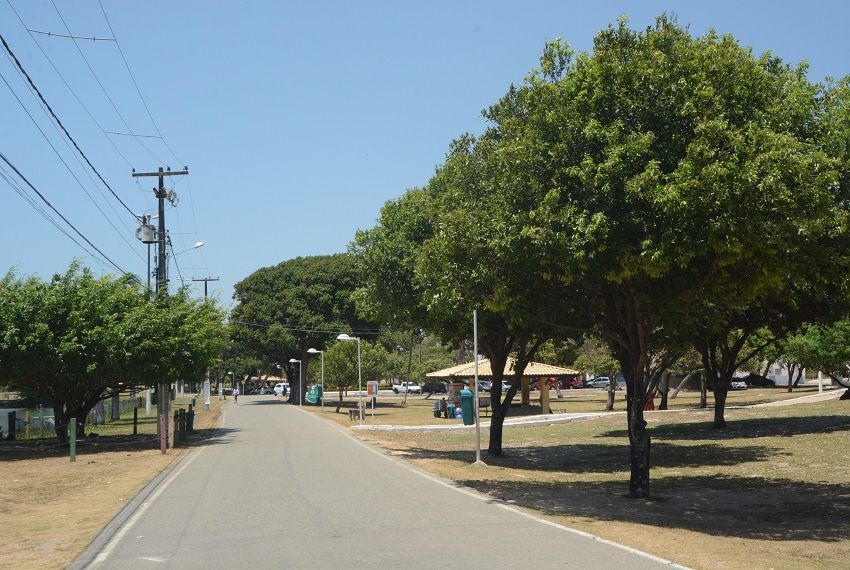 Parque da Sementeira recebe contação de histórias aberta ao público