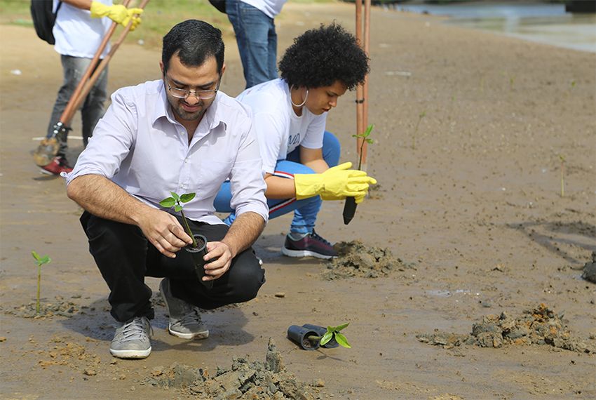 Muda Mangue: Prefeitura trabalha para conservar manguezais de Aracaju