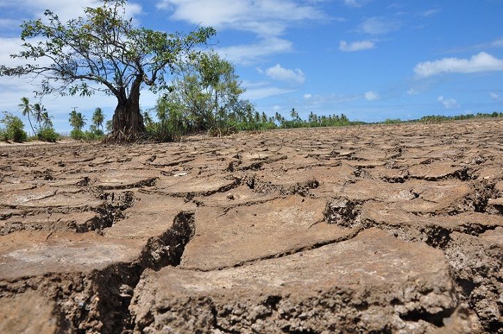 Seca: 17 municípios em situação de emergência