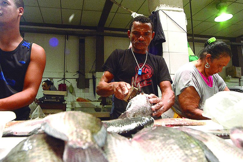 Consumo de peixe aquece mercados