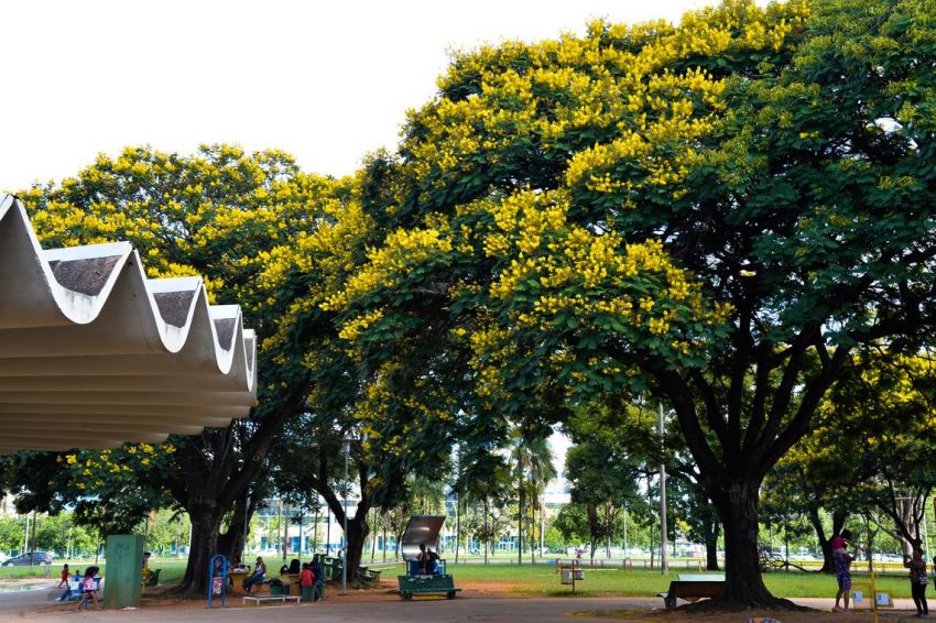 Natureza beneficia bem-estar e saúde da população, mostra pesquisa