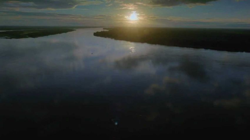 Amazônia, o despertar da florestânia