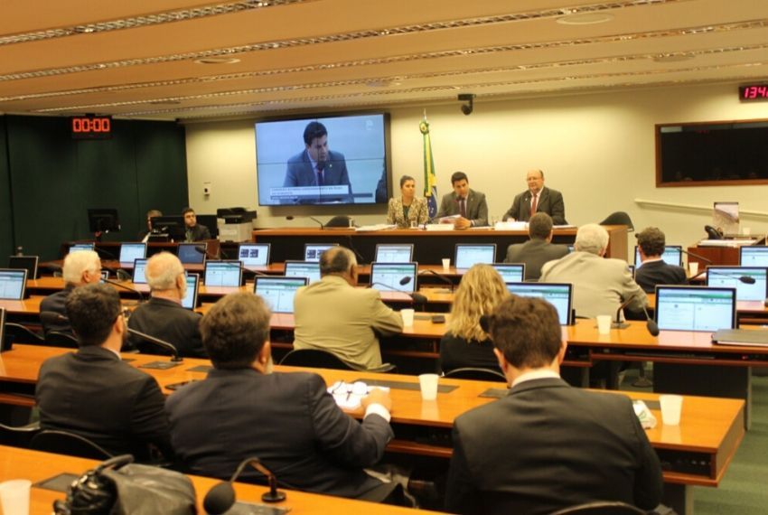Comissão Externa aprova relatório parcial em que responsabiliza Governo Bolsonaro por falta de ação