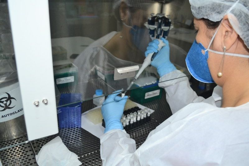 Sergipe registra primeiro caso da variante de Manaus do novo coronavírus