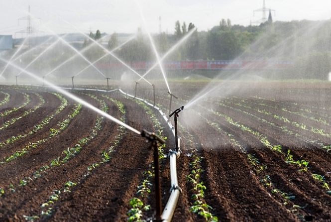 Baixa vazão não afetará irrigação
