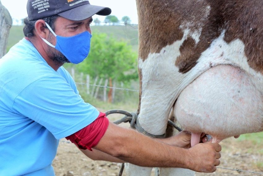 Sergipe lança chamada Pública para fornecedores de leite