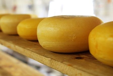 Lei das queijarias artesanais é aprovada pela Alese