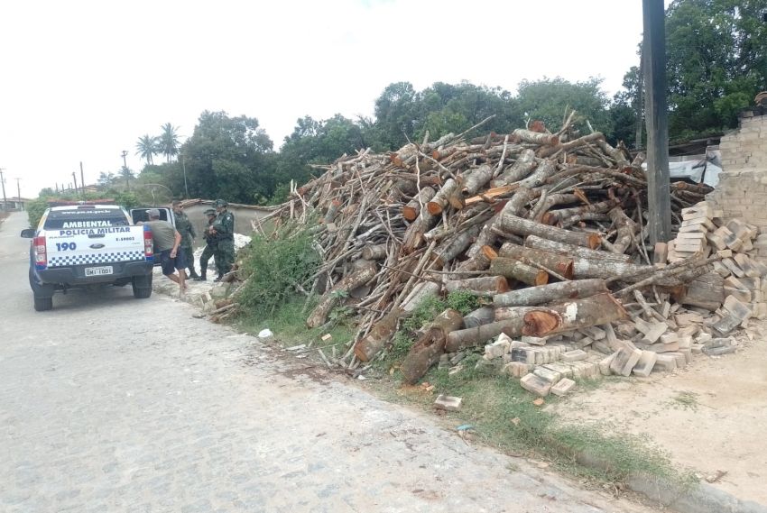 Polícia Militar desativa depósito ilegal de madeira em Itabaiana
