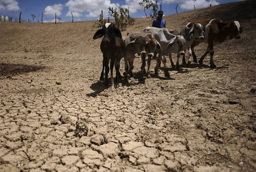 Mais de 30 mil atingidos pela estiagem não recebem assistência em Sergipe