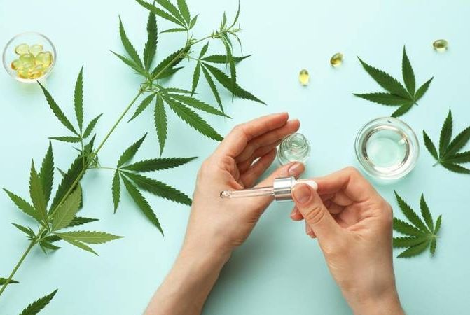 Juiz autoriza paciente a plantar maconha em casa para uso medicinal