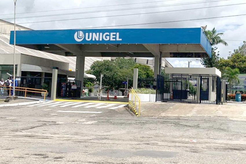 Unigel vai paralisar atividades em julho