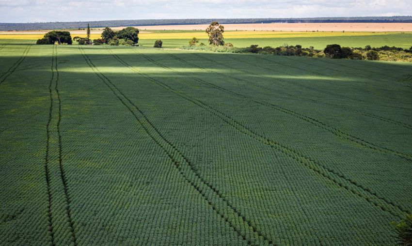 Berço das águas, Cerrado recebe 600 mi de litros de agrotóxico