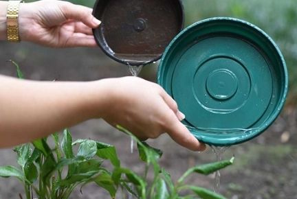 Saúde reforça atenção para combate ao Aedes Aegypti