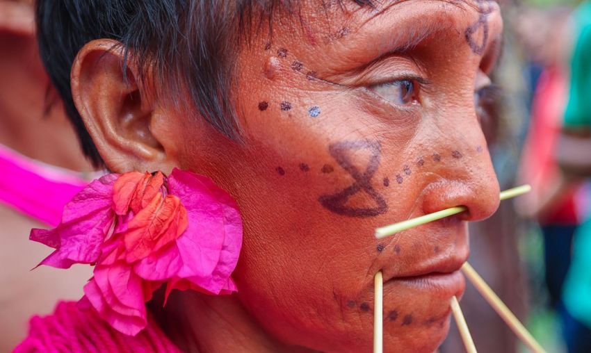 Brasil teve 795 indígenas assassinados
