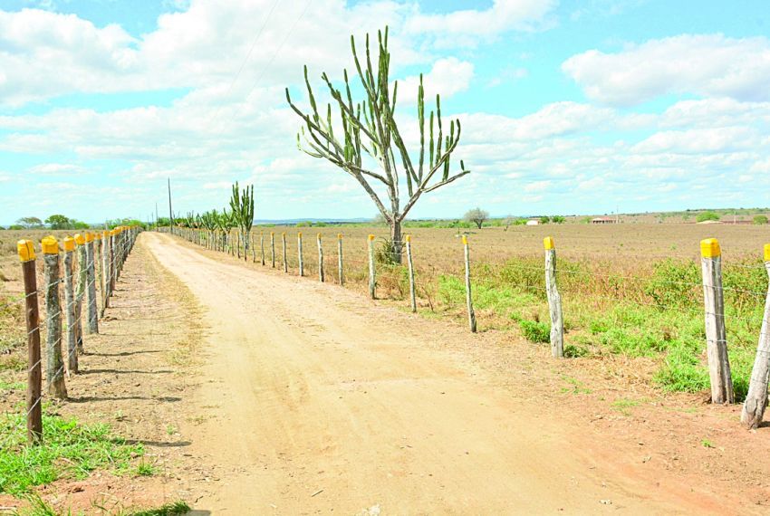 Com o período de estiagem, temperaturas devem subir bastante em Sergipe