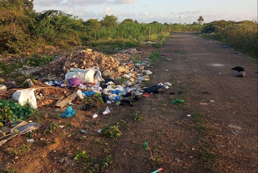 Um mês após fechamento de lixão, município se torna uma lixeira a céu aberto