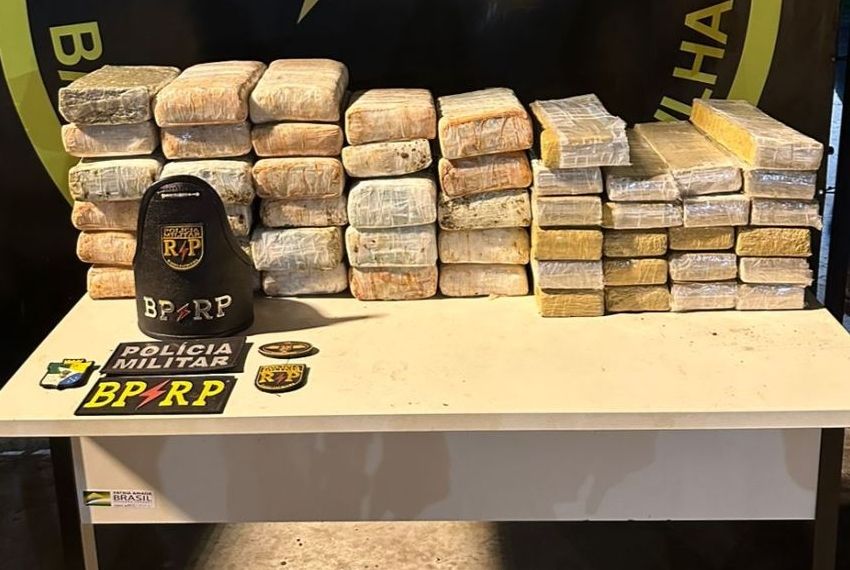 Mais de 50kg de maconha são apreendidos em região de vegetação em Laranjeiras