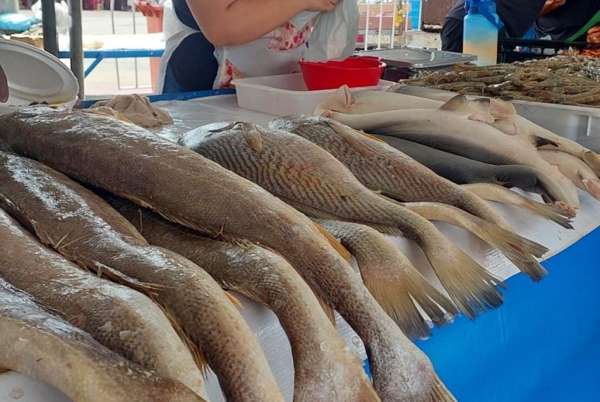 Vigilância Sanitária alerta sobre cuidados com pescados na Semana Santa