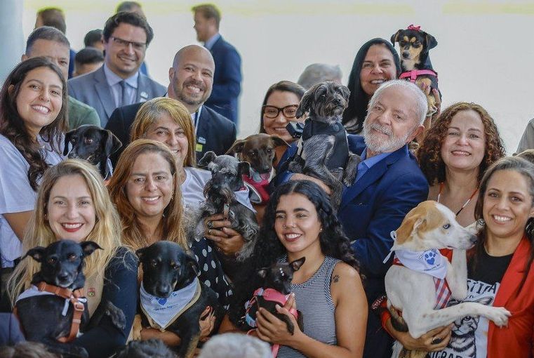 Lula lança programa de identificação e proteção de cães e gatos