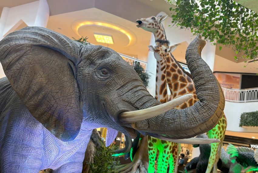 SmartZoo traz a magia da natureza selvagem para Aracaju