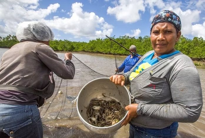 Sergipe institui o ´Dia Estadual da Mulher Marisqueira´
