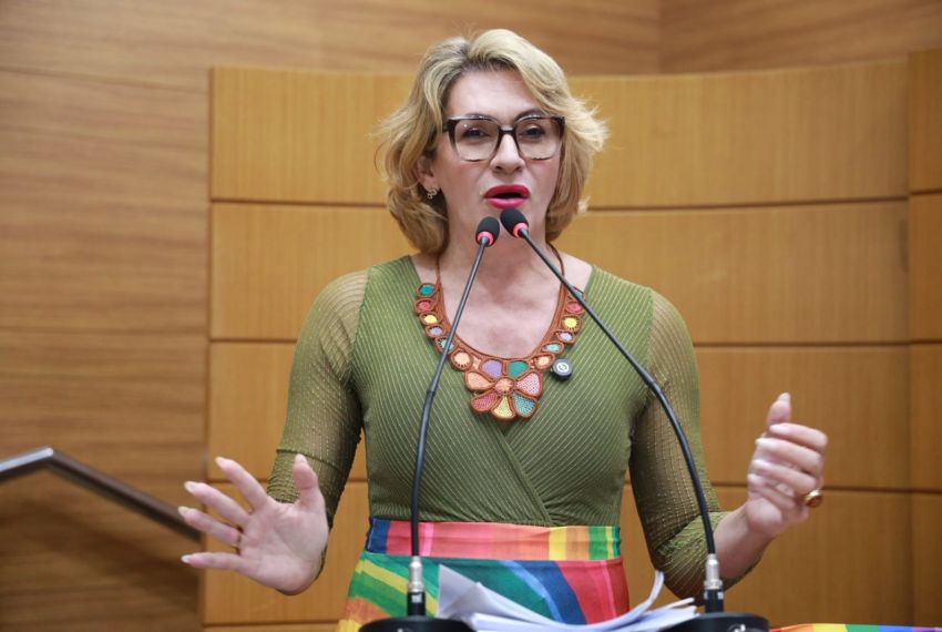 Linda Brasil defende benefícios para auditores fiscais do estado