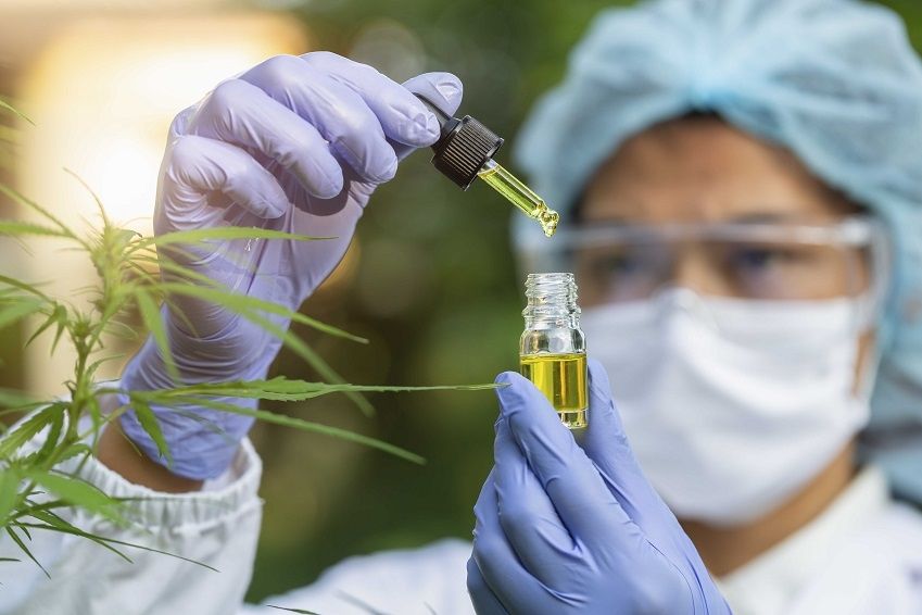 235 pacientes utilizam cannabis medicinal no tratamento em SE