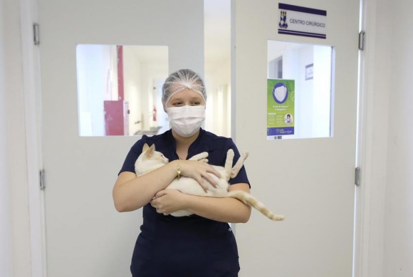 Confira quais clínicas estão credenciadas no programa Aju Animal