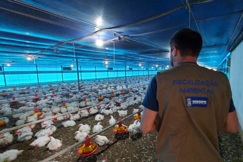 Adema vistoria licenciamento em granja localizada em Boquim