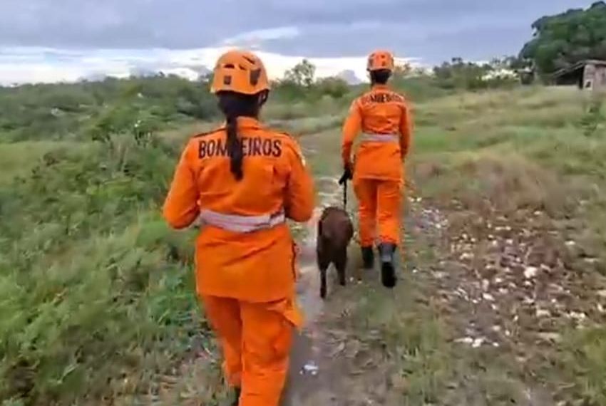 Buscas por idoso desaparecido são retomadas em Itabaiana