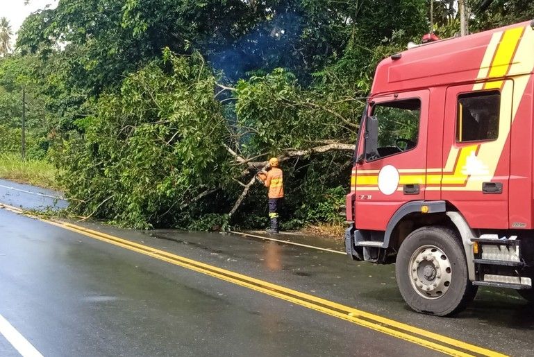 Árvore caída interdita parcialmente rodovia SE-368