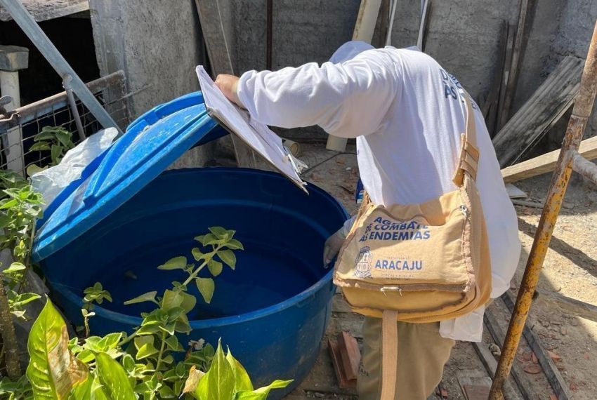 Seis municípios estão em alto risco de infestação do Aedes aegypti