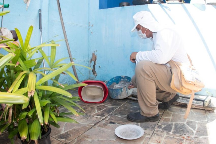 Aracaju tem quatro bairros infestados de Aedes aegypti