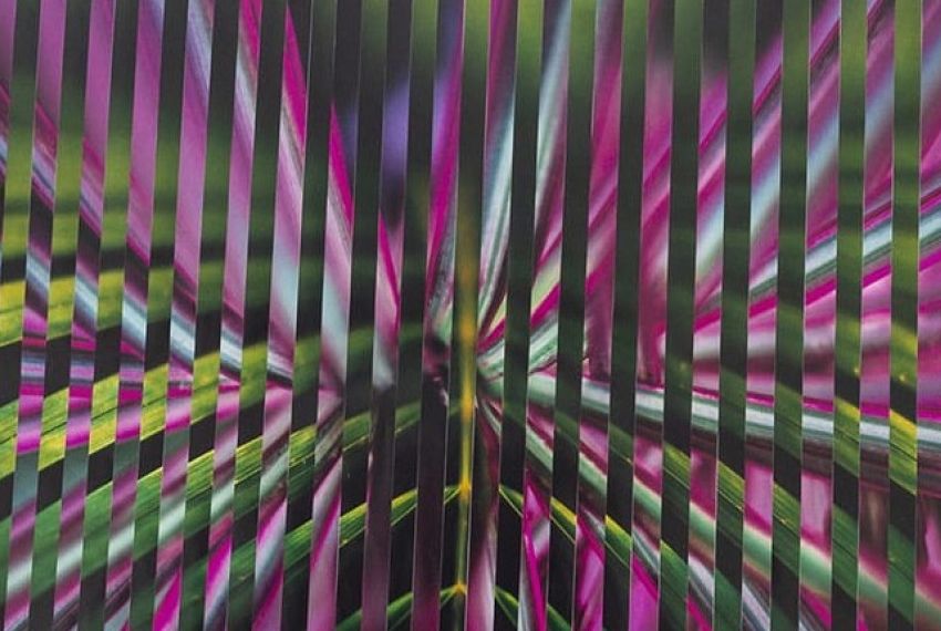 Secult abre exposição 'Sob o efeito do sol' no Corredor Cultural