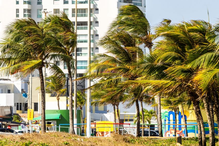 Previsão do tempo indica possibilidade de ventos fracos  neste domingo