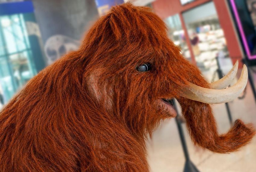 Mamute e Mamutinho recebem o público no Shopping Jardins