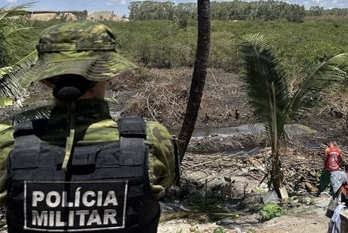 Homem é autuado por desmatamento ilegal em Socorro