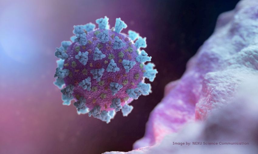 Estudo mostra que bebês de mães com covid-19 têm anticorpos