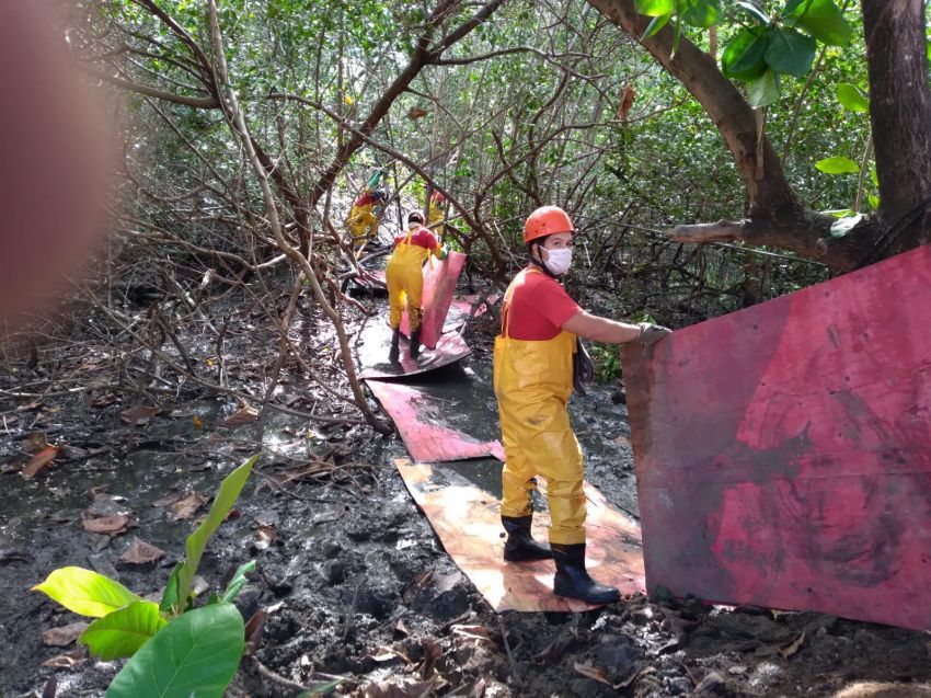 Avião monomotor cai em área de mangue em Aracaju