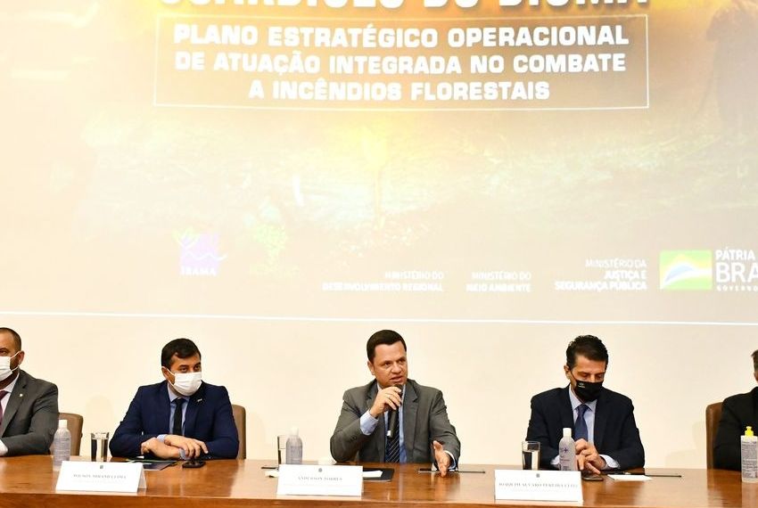 Governo lança plano para combater incêndios florestais