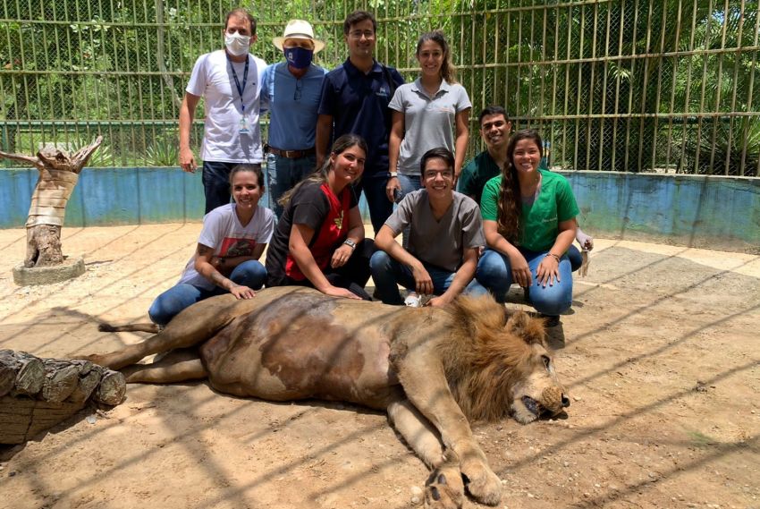 Atração principal do Zoológico de Aracaju passa por bateria de exames