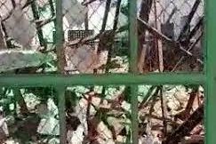 Teto de escola municipal desaba em Canindé do São Francisco