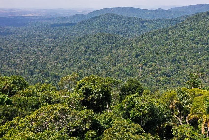 Ministro norueguês diz que Brasil voltou a ser liderança ambiental