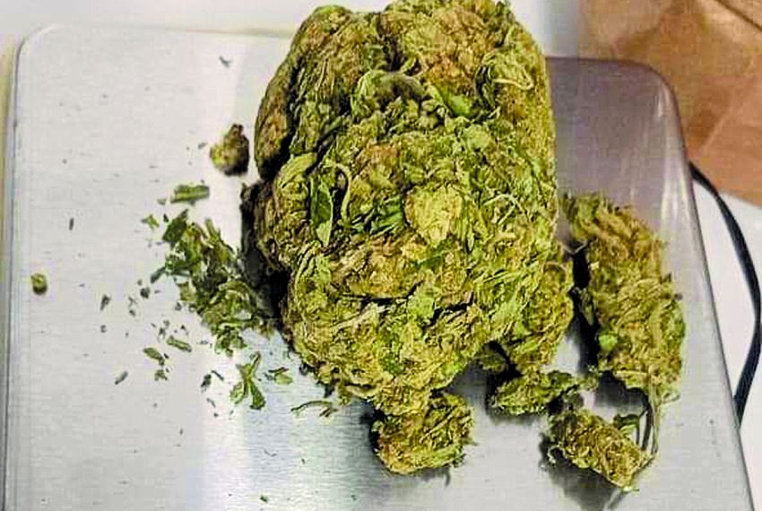Receita Federal apreende “super maconha” enviada pelos Correios