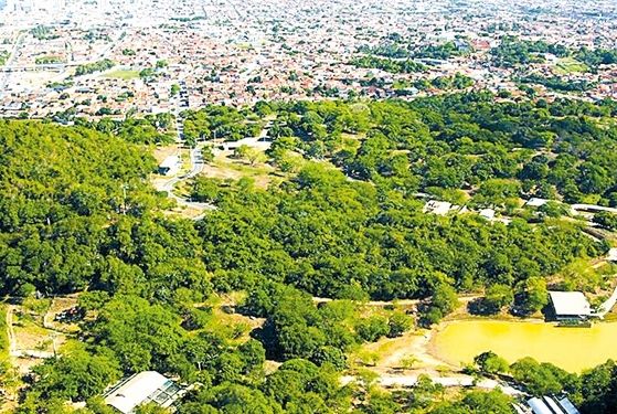 MPSE tenta impedir ocupação irregular do ‘Morro do Urubu’