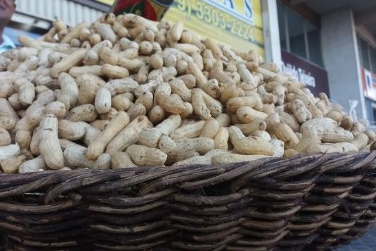 38 municípios de Sergipe produzem amendoim e garantem o intenso consumo