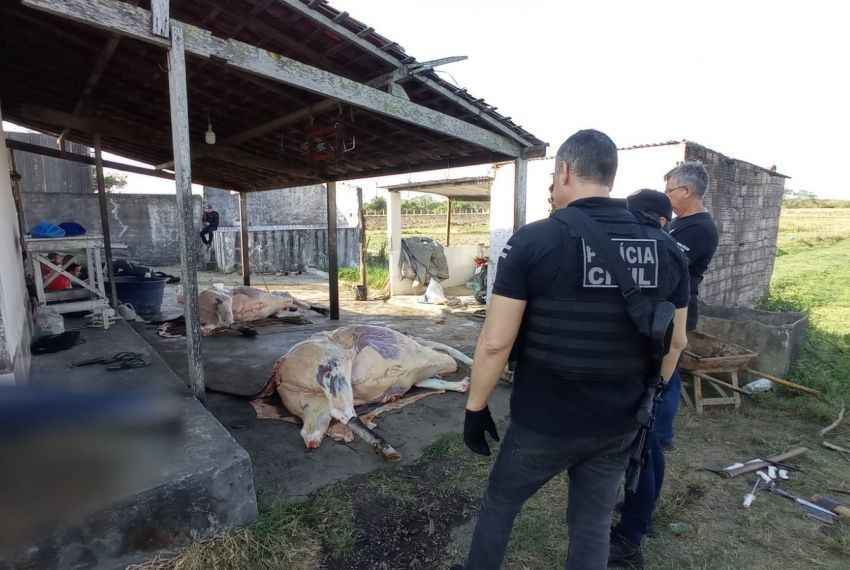 Ação conjunta desativa abatedouro clandestino de gado em Sergipe