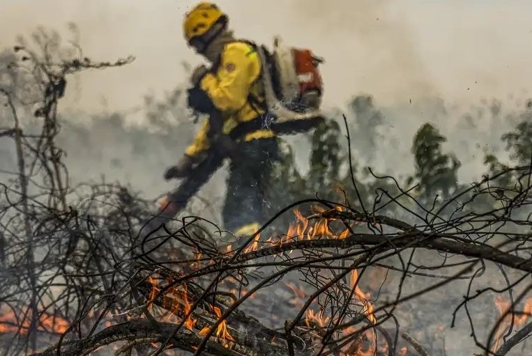 Brasil tem 22,38 milhões de hectares atingidos pelo fogo em nove meses
