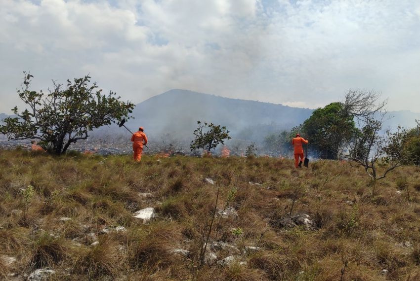 Incêndio atinge vegetação na Serra da Miaba, em Sergipe